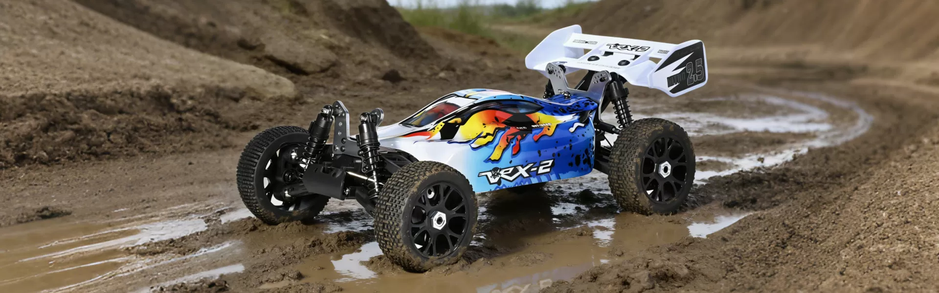 Electric RC Buggy