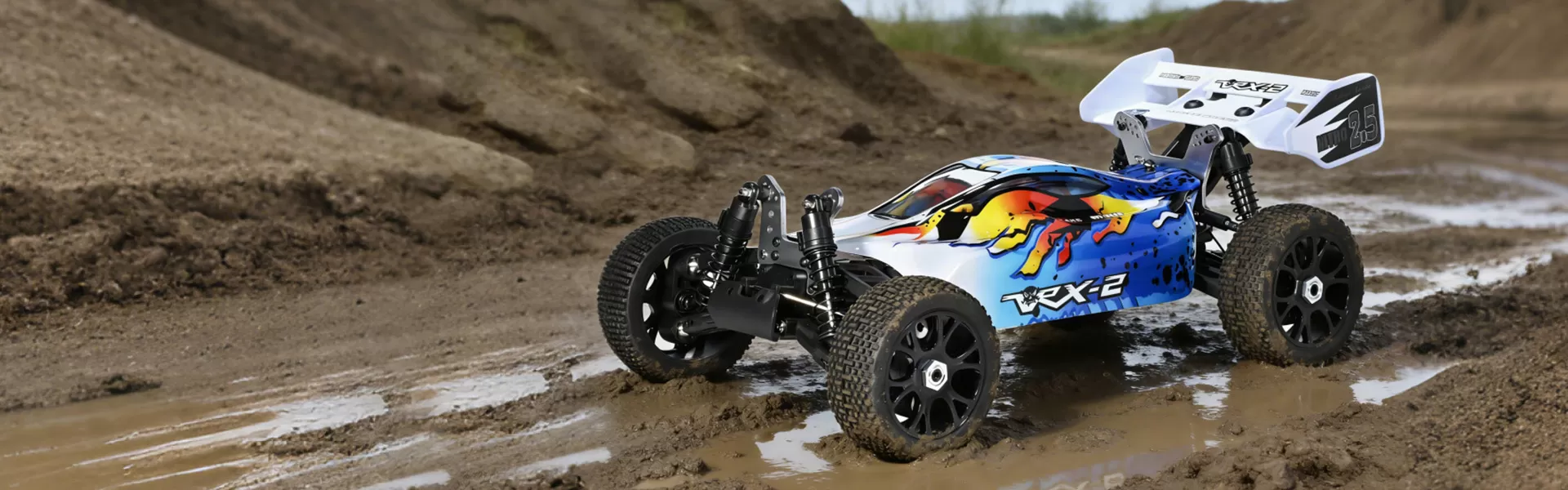 Electric RC Buggy