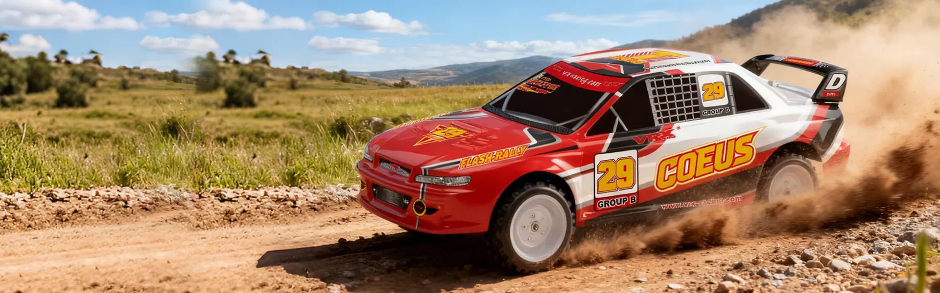 Electric RC Rally
